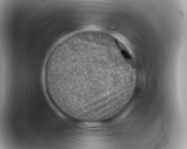 X0000088141391200706041329