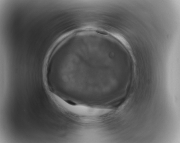 X0000088141392200706041329