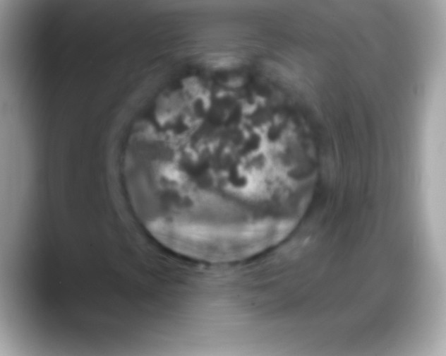 X0000088141393200706041328