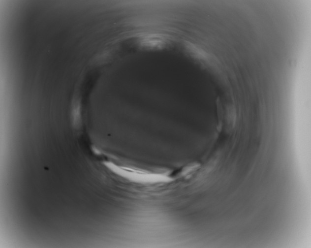 X0000088141394200706041328