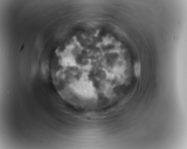 X0000088141395200706041328