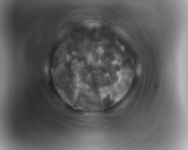 X0000088141396200706041328