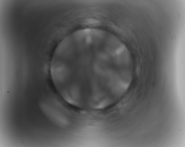 X0000088141397200706041329