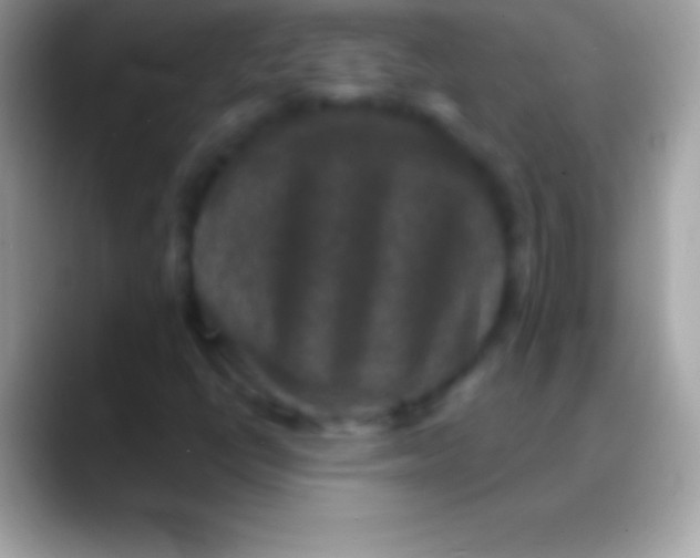 X0000088141398200706041329