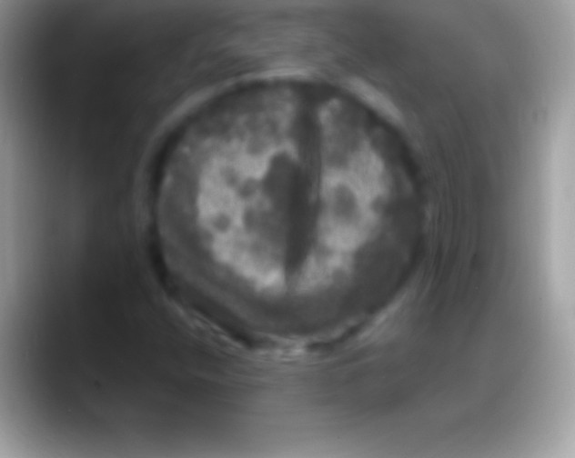 X0000088141400200706041329