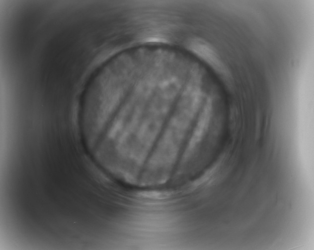 X0000088141404200706041329