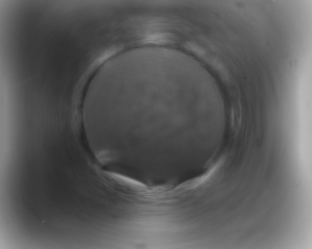 X0000088141405200706041329