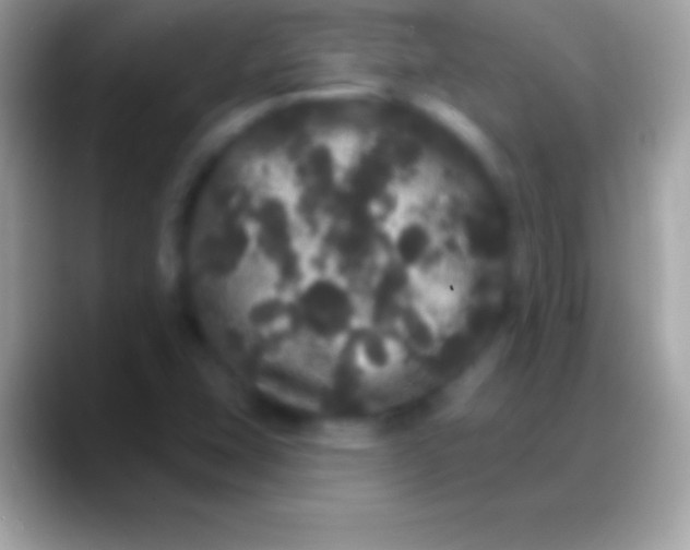 X0000088141407200706041329