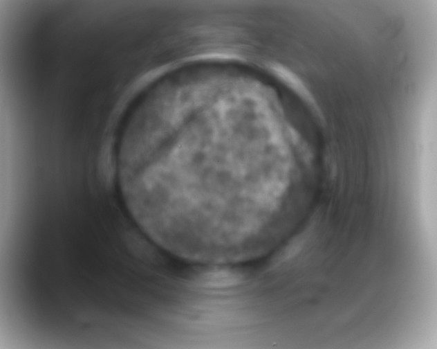 X0000088141408200706041329