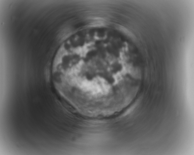 X0000088141409200706041329