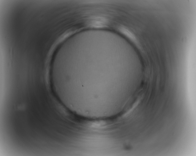 X0000088141410200706041329