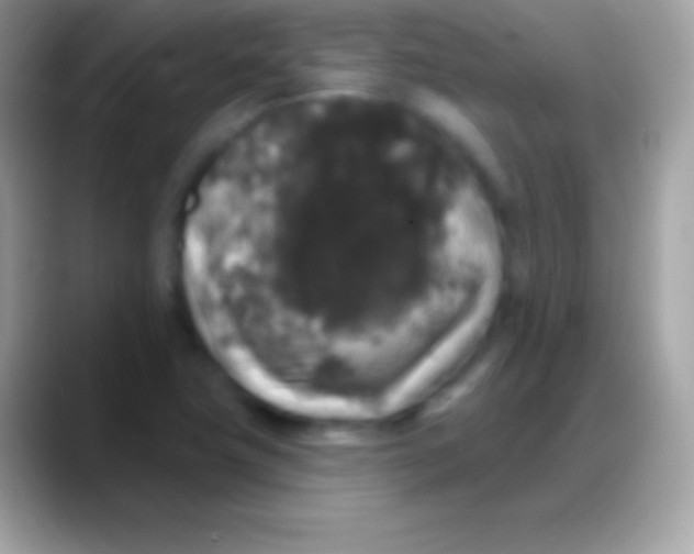 X0000088141411200706041329