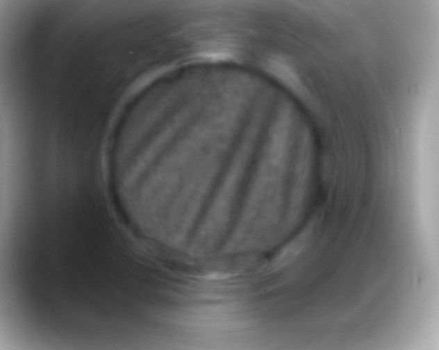 X0000088141412200706041329