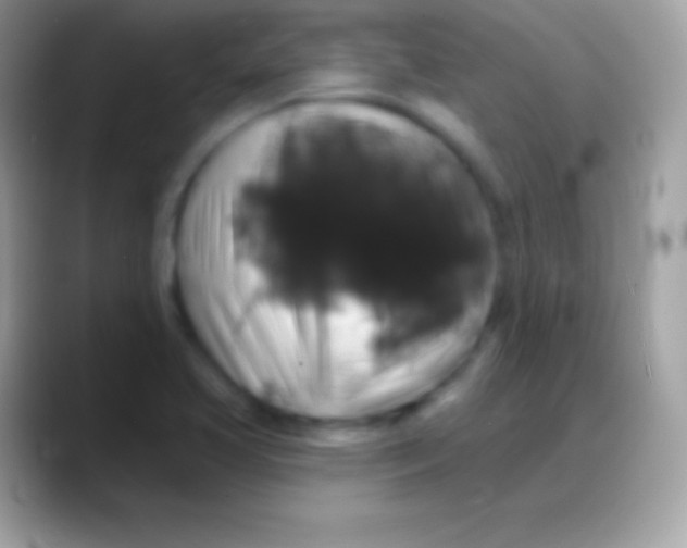 X0000088141413200706041329