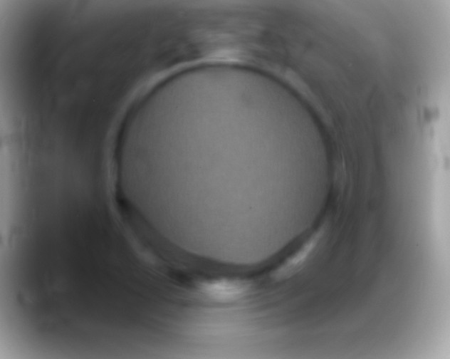 X0000088141414200706041329