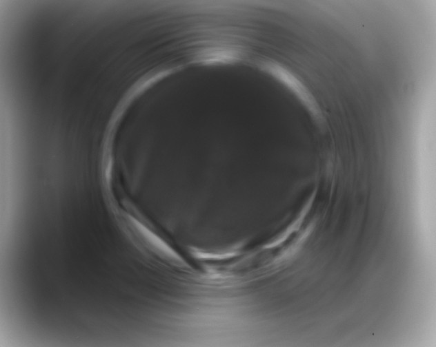 X0000088141418200706041329