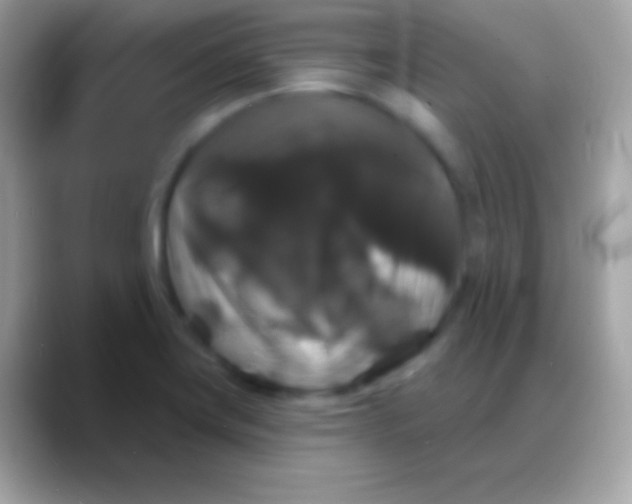 X0000088141419200706041329