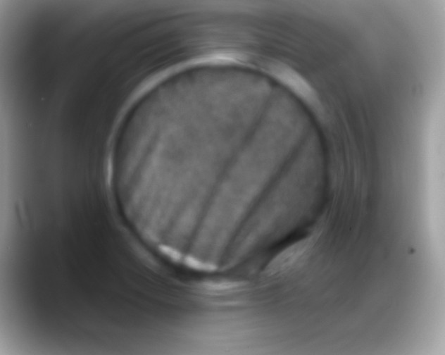 X0000088141420200706041329