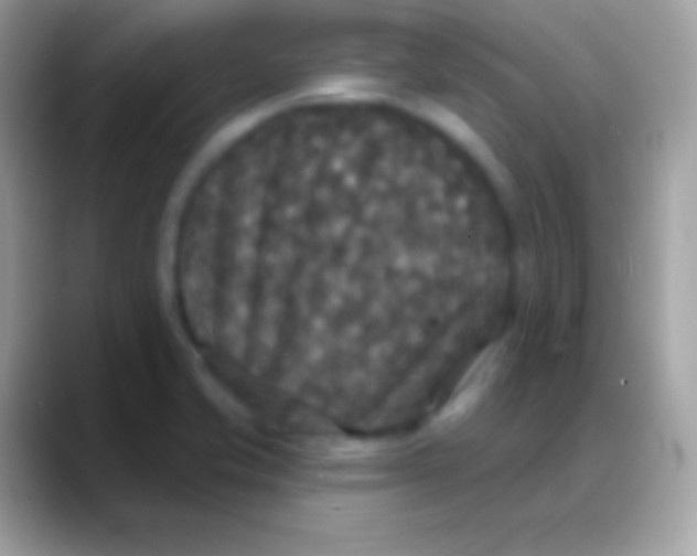 X0000088141421200706041329