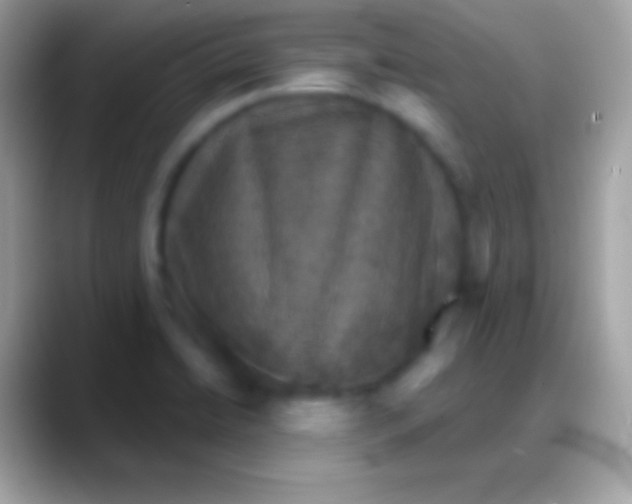 X0000088141422200706041329