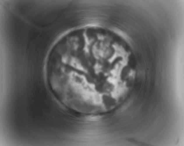 X0000088141423200706041329