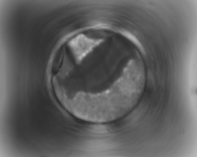 X0000088141424200706041329