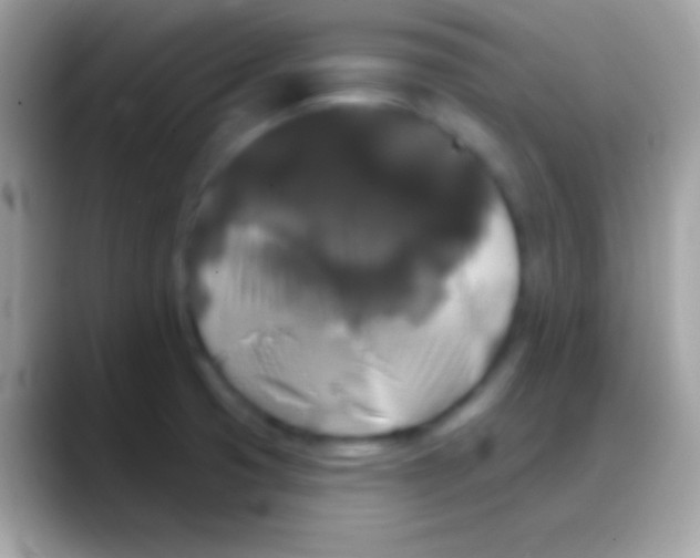 X0000088141425200706041329