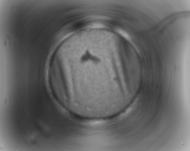 X0000088141426200706041329