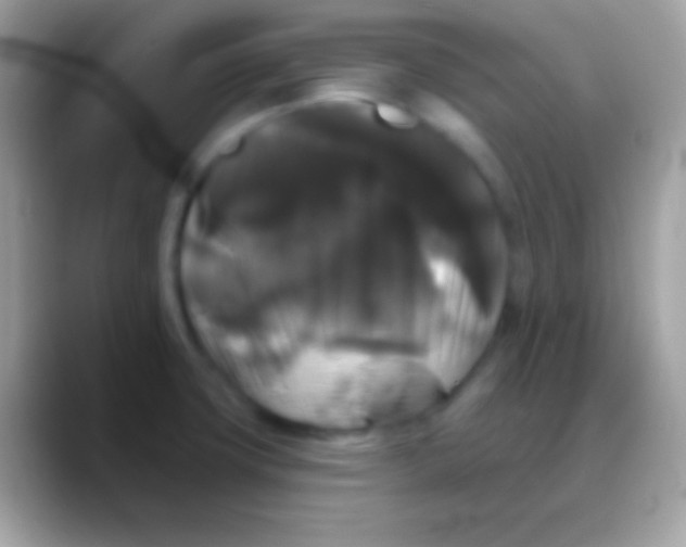 X0000088141427200706041329