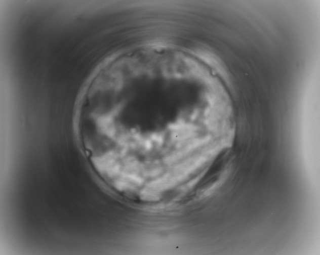 X0000088141429200706041329