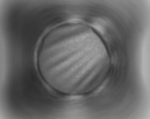 X0000088141430200706041329