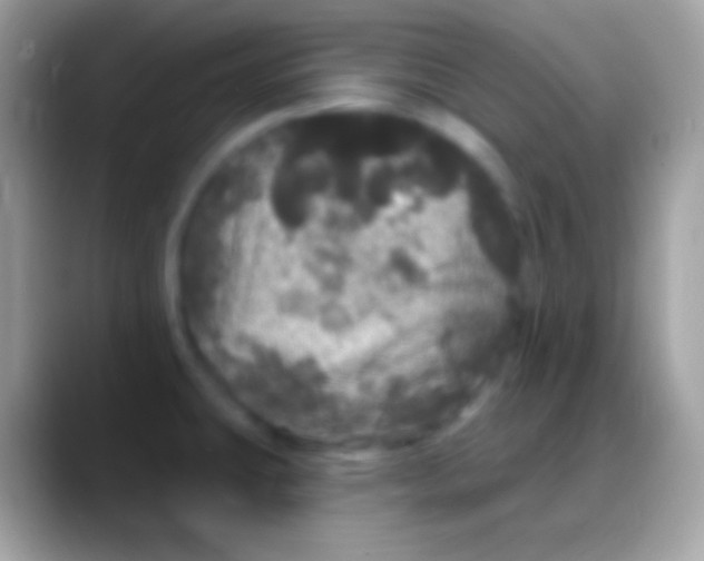 X0000088141431200706041329