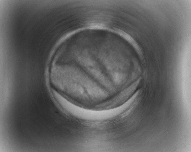 X0000088141432200706041329