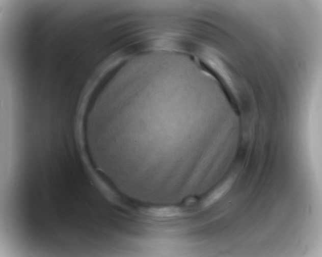 X0000088141434200706041329