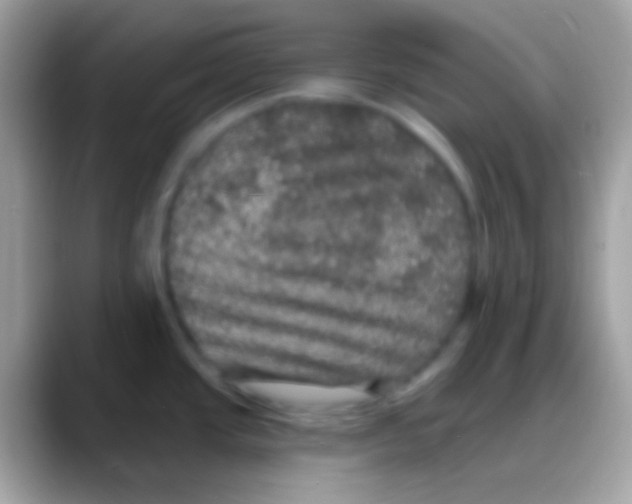 X0000088141437200706041329