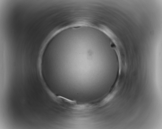 X0000088141438200706041329