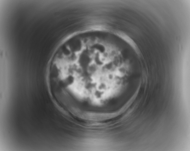 X0000088141439200706041329