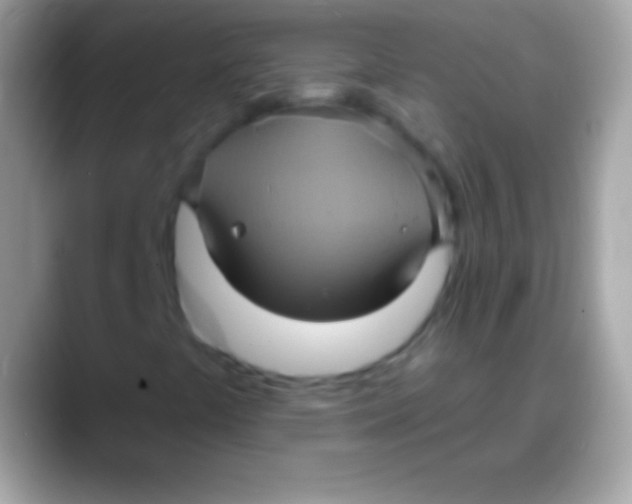 X0000088141441200706041328