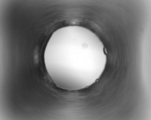 X0000088141442200706041328