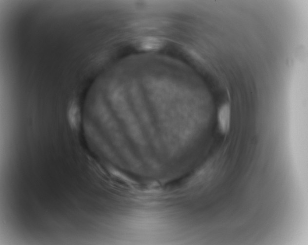 X0000088141443200706041328