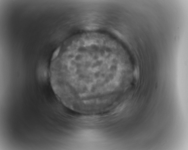 X0000088141444200706041328