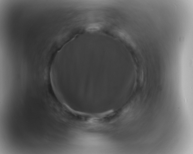 X0000088141445200706041328