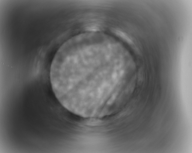 X0000088141446200706041328