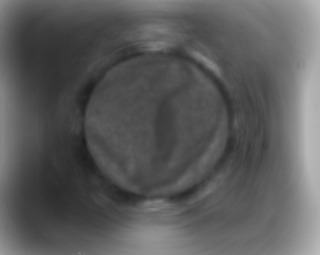 X0000088141447200706041328