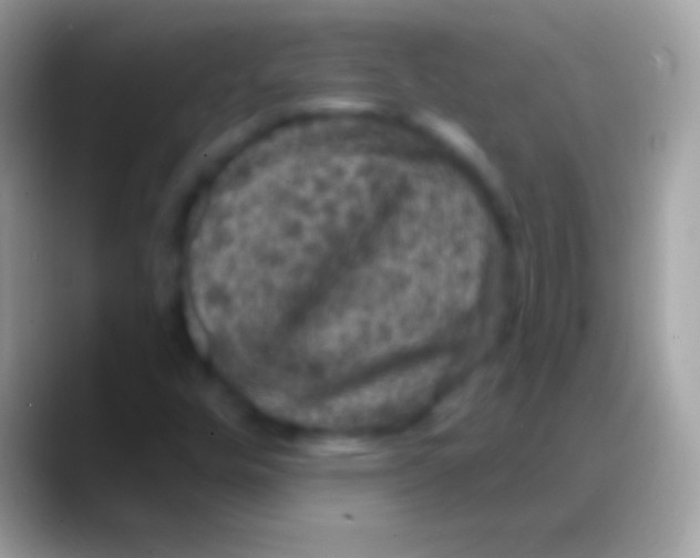 X0000088141448200706041328