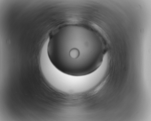 X0000088141449200706041328