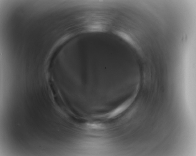 X0000088141450200706041328