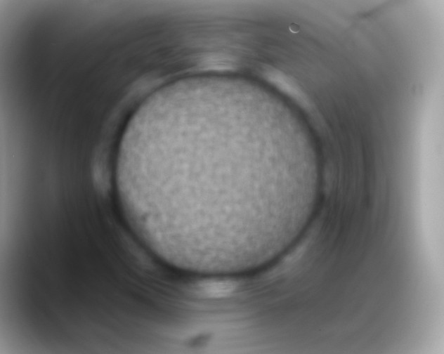 X0000088141451200706041328