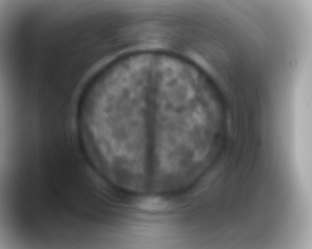 X0000088141452200706041328