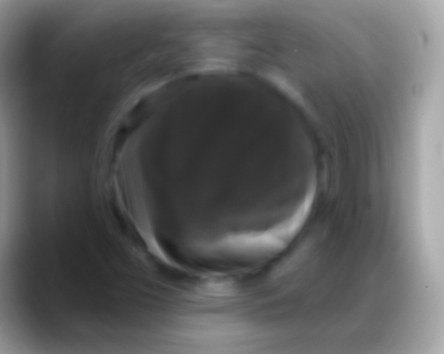 X0000088141453200706041328